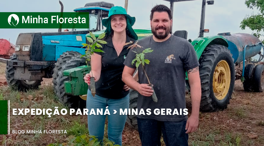 Polo Florestal: Expedição Paraná –  Minas Gerais
