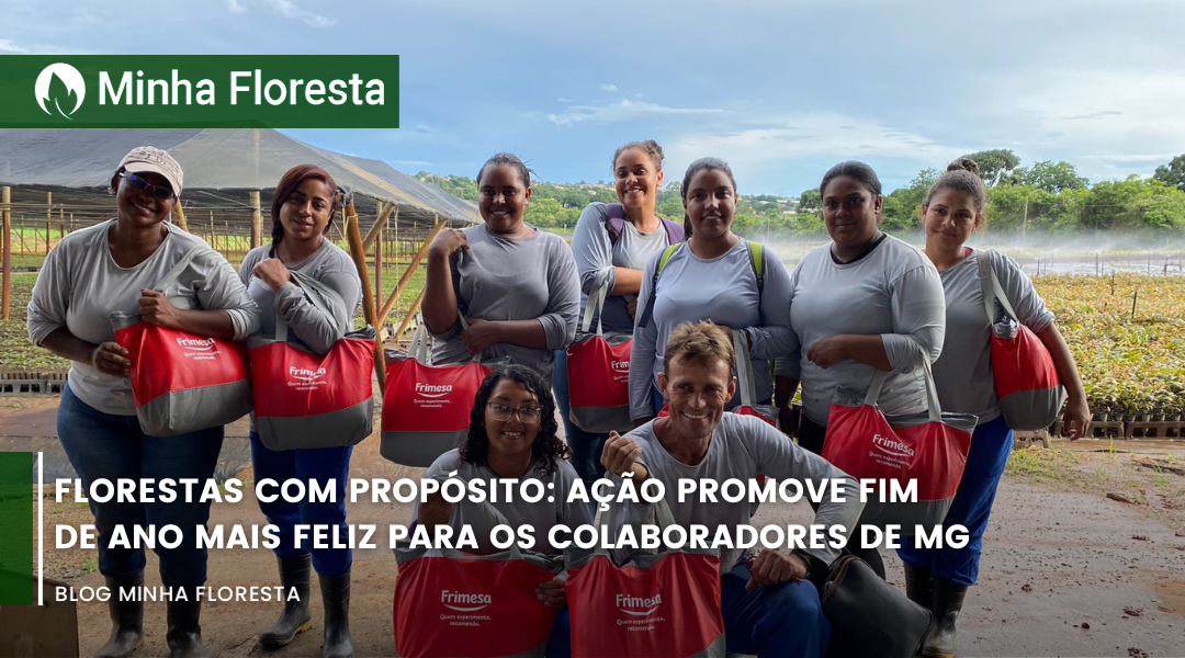 Florestas com Propósito: ação de Natal garante festa de fim de ano dos colaboradores do campo!